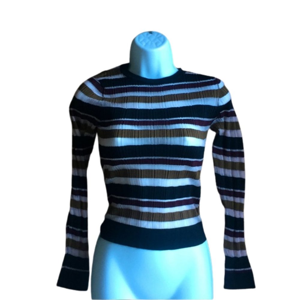 ZARA Shimmery Striped Long Sleeve Top